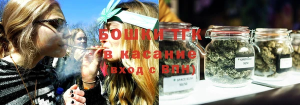 PSILOCYBIN Инта