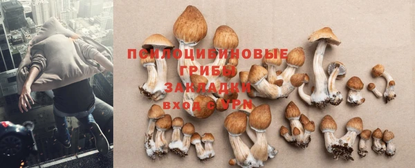 не бодяженный Алексин