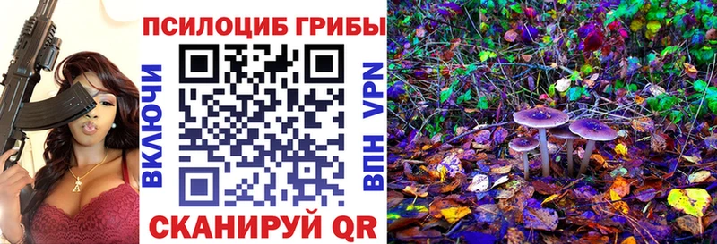 Галлюциногенные грибы Cubensis Кемь